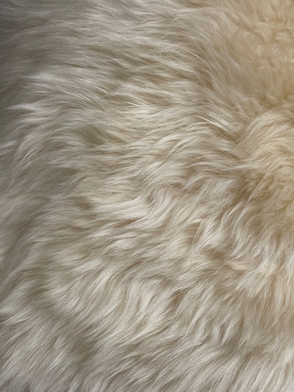 ‼️FINAL SALE‼️Australian Sheepskin Cream Faux Fur Decorative Pillow | Natural - Picture 5 of 5